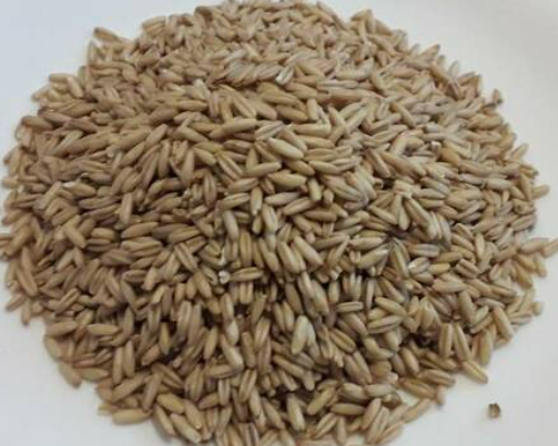 Крупа вівсяна, неподрібнена, ґатунок перший, ДСТУ 7698, 1 кг